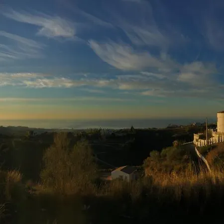 Pura Vida Andalusien *