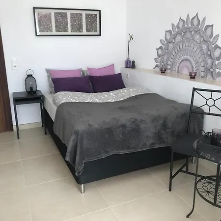 Pura Vida Andalusien *