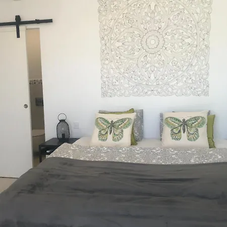 Pura Vida Andalusien